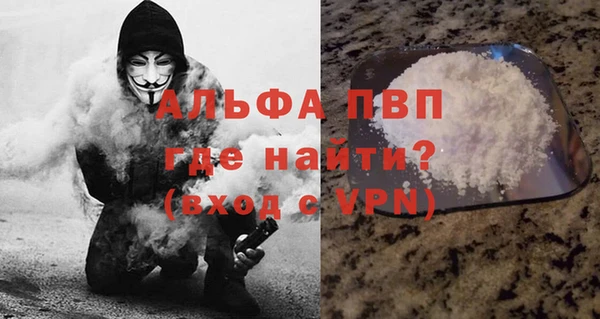 a pvp Аркадак