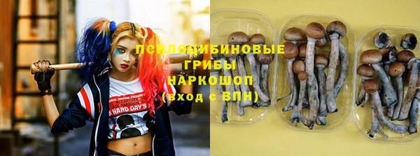 прущая мука Арсеньев