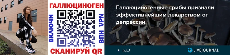 где можно купить наркотик  Серов  Псилоцибиновые грибы Psilocybine cubensis 